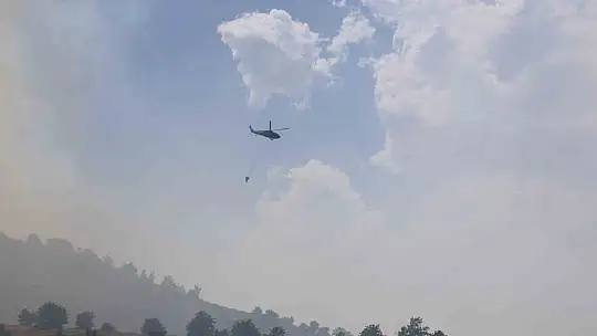 Elazığ'da orman yangınına havadan müdahale sürüyor