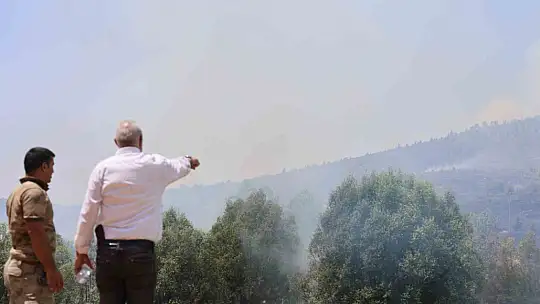 Elazığ'da orman yangınına havadan müdahale sürüyor