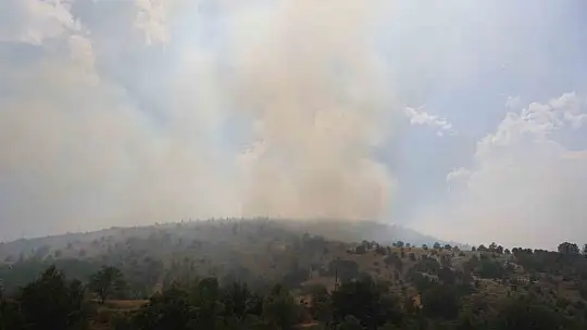 Elazığ'da orman yangınına havadan müdahale sürüyor
