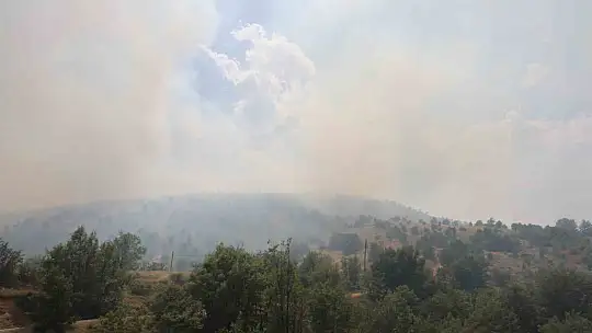 Elazığ'da orman yangınına havadan müdahale sürüyor
