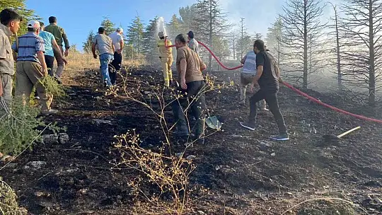 Elazığ'da orman yangınına müdahale sürüyor