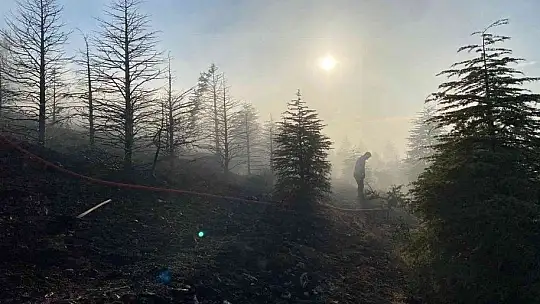 Elazığ'da orman yangınına müdahale sürüyor