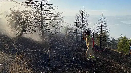 Elazığ'da orman yangınına müdahale sürüyor