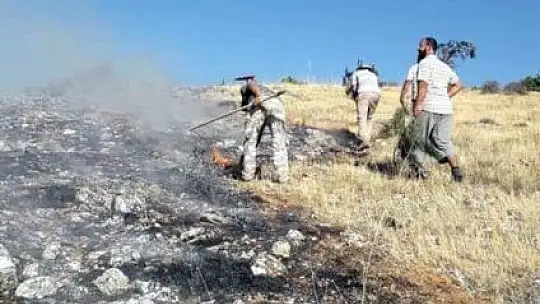 Elazığ'da orman yangınına müdahale sürüyor