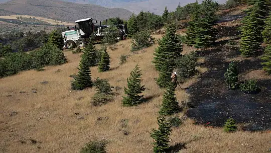 Elazığ'da ormanlık alanda yangın