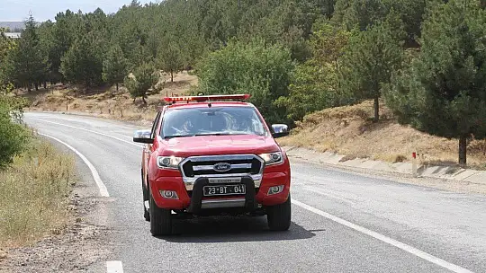Elazığ'da, ormanlık alanlarda sıkı denetim
