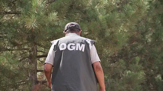 Elazığ'da, ormanlık alanlarda sıkı denetim