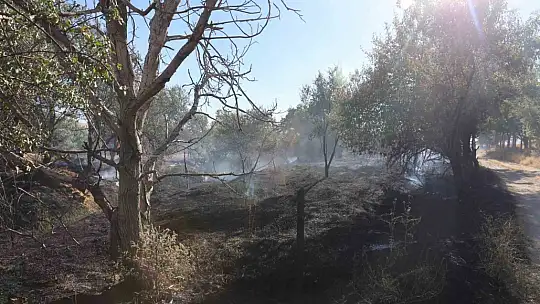 Elazığ'da örtü ve bahçe yangını