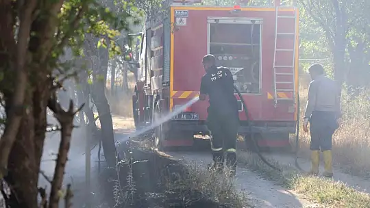 Elazığ'da örtü ve bahçe yangını