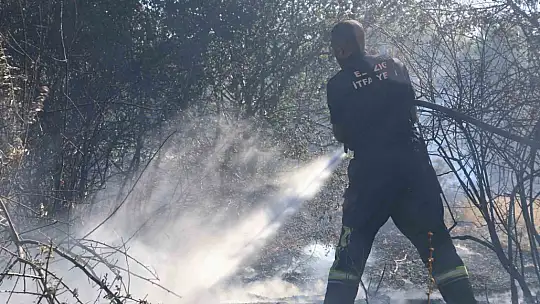 Elazığ'da örtü ve bahçe yangını