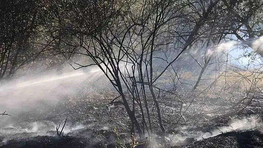 Elazığ'da örtü ve bahçe yangını