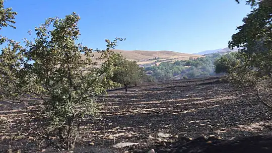 Elazığ'da örtü ve bahçe yangını