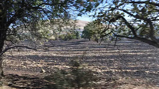 Elazığ'da örtü ve bahçe yangını