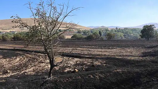 Elazığ'da örtü ve bahçe yangını