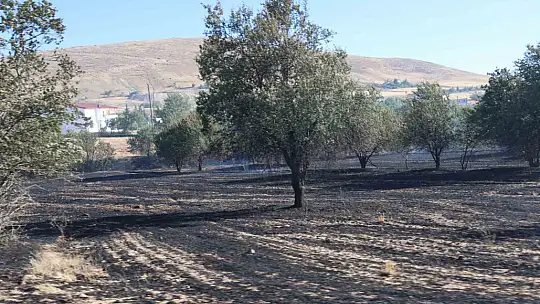Elazığ'da örtü ve bahçe yangını