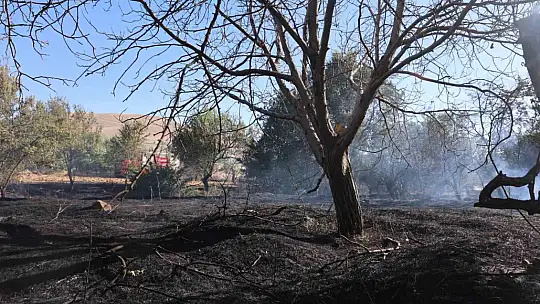 Elazığ'da örtü ve bahçe yangını