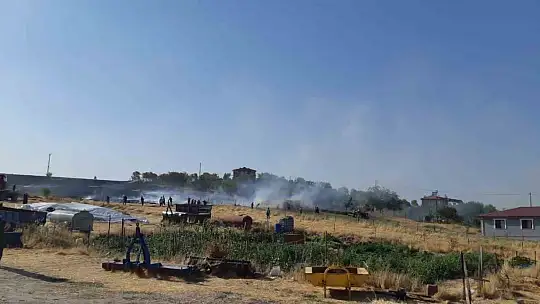 Elazığ'da ot yangını