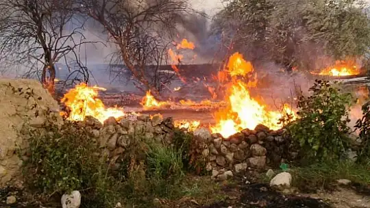 Elazığ'da otluk alanda yangın