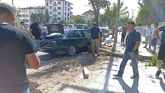 Elazığ'da otomobil ağaca çarptı: 1 yaralı