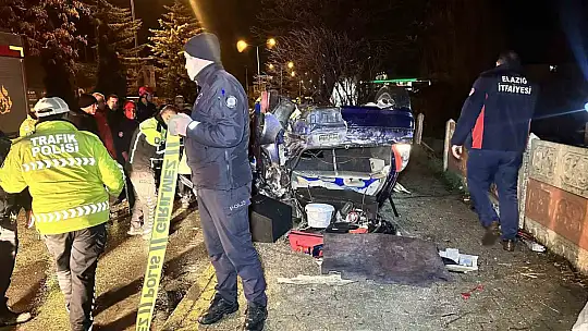 Elazığ'da otomobil ağaçları devirip takla attı: 2 ağır yaralı