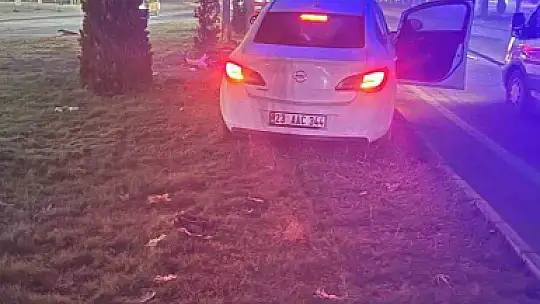 Elazığ'da otomobil aydınlatma direğine çarptı : 1 yaralı