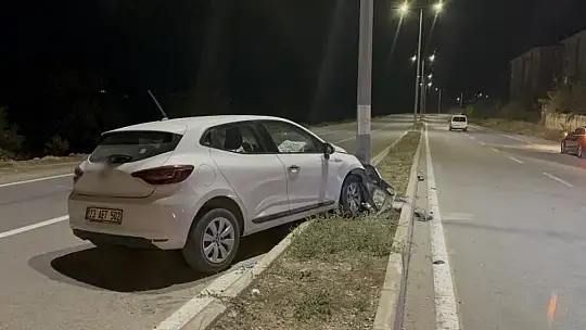 Elazığ'da otomobil aydınlatma direğine çarptı: 1 yaralı
