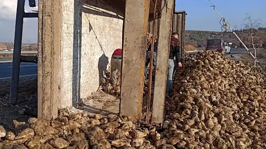 Elazığ'da pancar yüklü tır devrildi: 1 yaralı