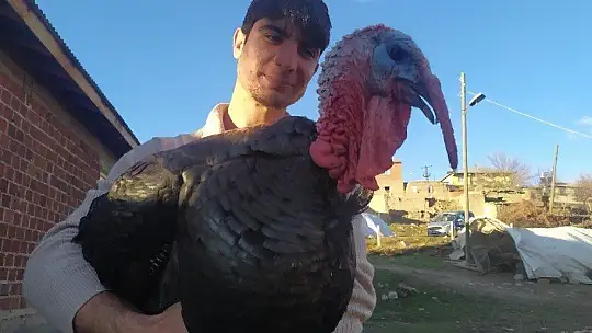 Elazığ'da pandemi ve yasaklar hindiye talebi azalttı