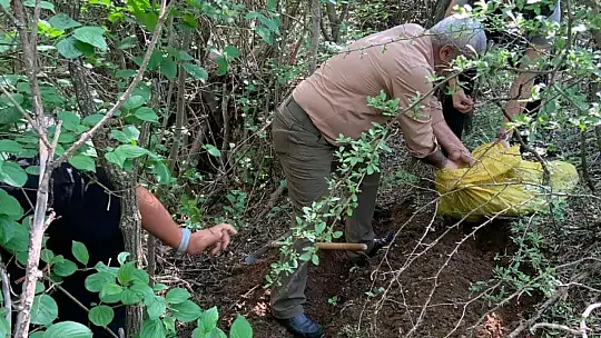 Elazığ'da salep soğanı toplayan 8 kişiye 3 milyon 100 bin lira ceza