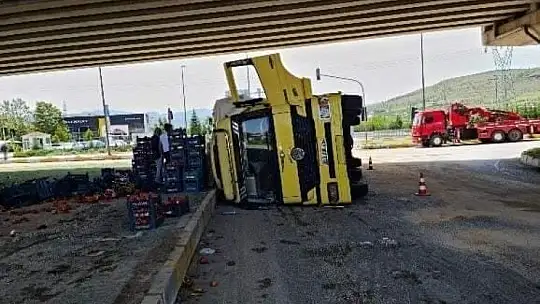 Elazığ'da sebze yüklü kamyon devrildi: 3 yaralı