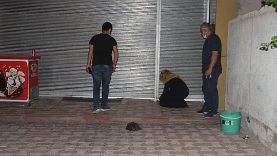 Elazığ'da silahlı saldırı: 5 yaralı