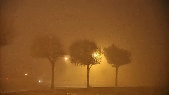 Aman Dikkat! Göz Gözü Görmüyor!...