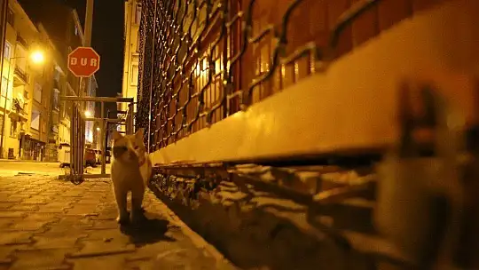 Elazığ'da sokağa çıkma kısıtlaması