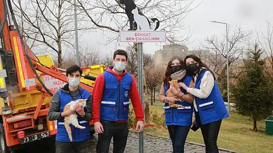 Elazığ'da sokak hayvanlarını korumak için uyarı tabelası