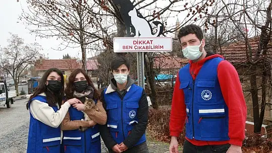 Elazığ'da sokak hayvanlarını korumak için uyarı tabelası