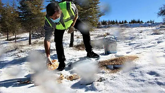 Elazığ'da 90 farklı noktaya yem bırakıldı