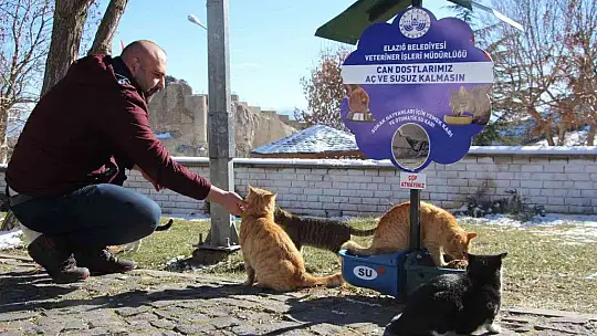 Elazığ'da 90 farklı noktaya yem bırakıldı