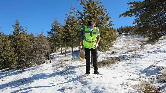 Elazığ'da 90 farklı noktaya yem bırakıldı