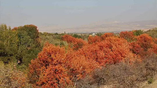 Elazığ'da sonbaharda rengarenk olan ağaçlar havadan görüntülendi