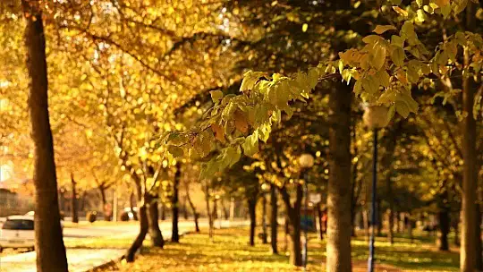 Elazığ'da sonbaharın son demleri görsel şölen oluşturuyor