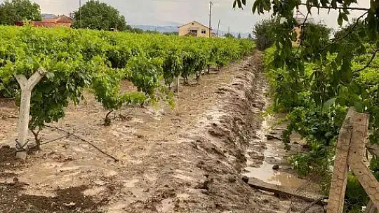 Elazığ'da tarım arazilerini sel vurdu
