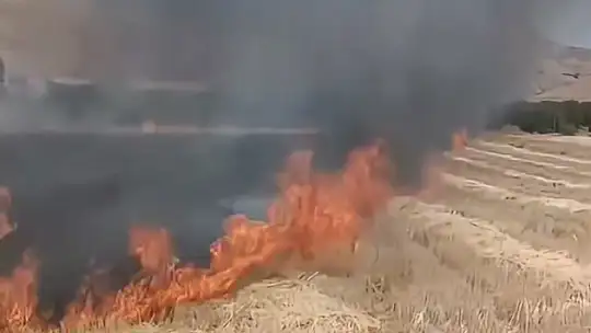 Elazığ'da tarlada çıkan anız yangını söndürüldü