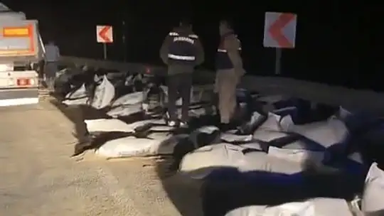 Elazığ'da tonlarca yem tır dorsesinden yola saçıldı