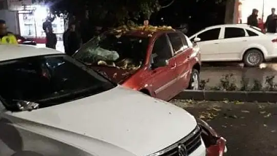 Elazığ'da trafik kazası: 2 yaralı