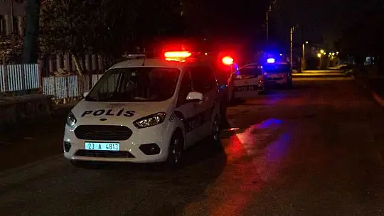 Elazığ'da turisti ve yoldan geçen birini yaralayan suç makinesi tutuklandı