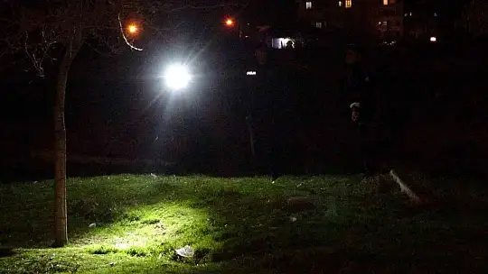 Elazığ'da turisti ve yoldan geçen birini yaralayan suç makinesi tutuklandı
