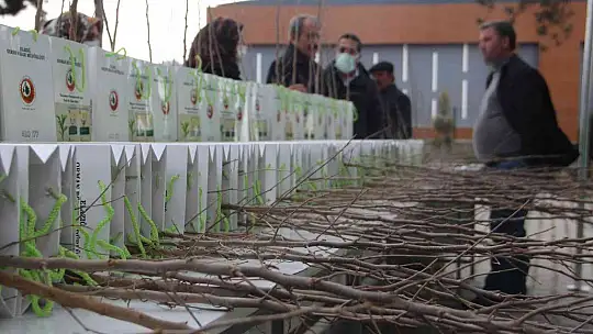 Elazığ'da üreticilere 6 bin 500 dut fidanı dağıtıldı