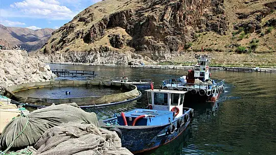 Elazığ'da üretilen 21 bin ton alabalık,,