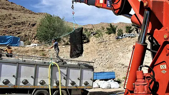 Elazığ'da üretilen 21 bin ton alabalık,,