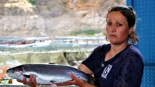 Elazığ'da üretilen 21 bin ton alabalık,,